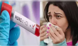 दिल्ली-एनसीआर में स्वाइन फ्लू का कहर, सभी अस्पताल अलर्ट पर