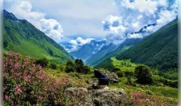 उत्तराखंड में फूलों की घाटी घूमने का सबसे अच्छा समय क्या है? 