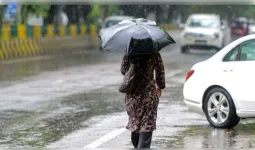 मध्य प्रदेश में मानसून सुस्त, भारी बारिश का थमा दौर 