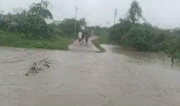 मानसून की भारी बारिश के दृष्टिगत स्वास्थ्य विभाग अलर्ट मोड पर