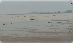 कानपुर में गंगा का जलस्तर खतरे के निशान से ऊपर, प्रशासन अलर्ट