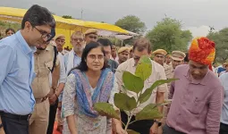 बीजलपुर नर्सरी में जिला स्तरीय वन महोत्सव, 500 से अधिक पौधों का रोपण