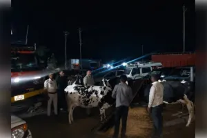 गोवंश से भरा ट्रक जब्त, महाराष्ट्र ले जाया जा रहा था,चार तस्कर गिरफ्तार
