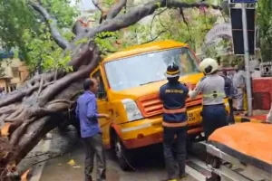 दर्दनाक हादसा: चलती स्कूल बस पर गिरा पेड़ , एक छात्रा की मौत, कई बच्चे घायल