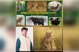 इंद्रावती टाइगर रिजर्व का बारिश के बाद पर्यटकों के लिए खुलना सुखद अनुभव होगा :केदार कश्यप