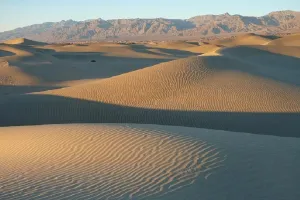 मरुस्थलीकरण के बढ़ते खतरे के खिलाफ वैश्विक चेतना का दिवस