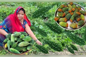 करेला इस तरह से बनाएं निकल जाता है सारा कड़वापन