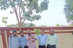 राजकीय महाविद्यालय सिराथू में 100 पौधों का रोपण, पर्यावरण संरक्षण का लिया संकल्प