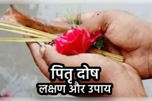 कुंडली में पितृदोष बन सकता है पारिवारिक कलह और रुकावटों का कारण