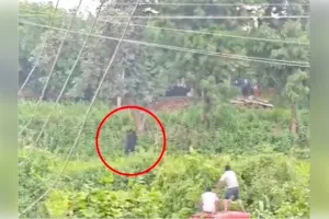 पालनपुर के हसनपुर गांव में रीछ का आतंक, लोगों में दहशत 