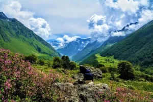 उत्तराखंड में फूलों की घाटी घूमने का सबसे अच्छा समय क्या है? 
