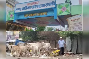 नगर पालिका की लापरवाही उजागर: कूड़ा उठाकर सड़कों पर डाल रहे वाहन