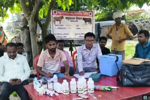 बाढ़ग्रस्त हुलासी पुरवा में लगा पशु राहत चिकित्सा शिविर, 317 पशुओं का उपचार