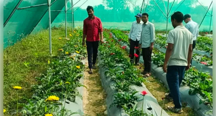गुना में आज विशेष प्रशिक्षण, बेंगलुरु के विशेषज्ञ सिखाएंगे गुलाब की वैज्ञानिक खेती