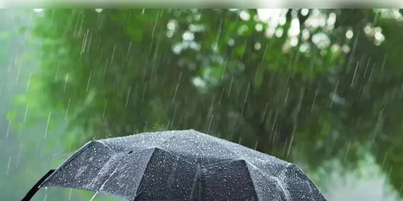 MP में स्ट्रॉन्ग मानसून सिस्टम एक्टिव, 12 जिलों में भारी बारिश का अलर्ट