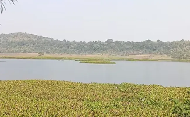 मप्र के विदिशा जिले का कागपुर क्षेत्र पक्षी कंजर्वेशन रिजर्व घोषित