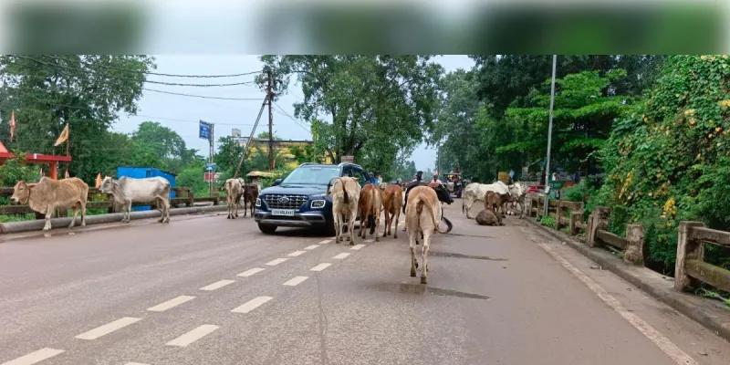 धमतरी में हाईवे सर्विलेंस टीम सक्रिय, ब्लैक स्पॉट पर रहेगी नजर
