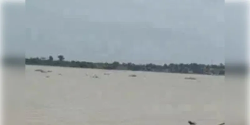 प्रयागराज: गंगा-यमुना का लगातार घटा जलस्तर, सभी तटबंध सुरक्षित