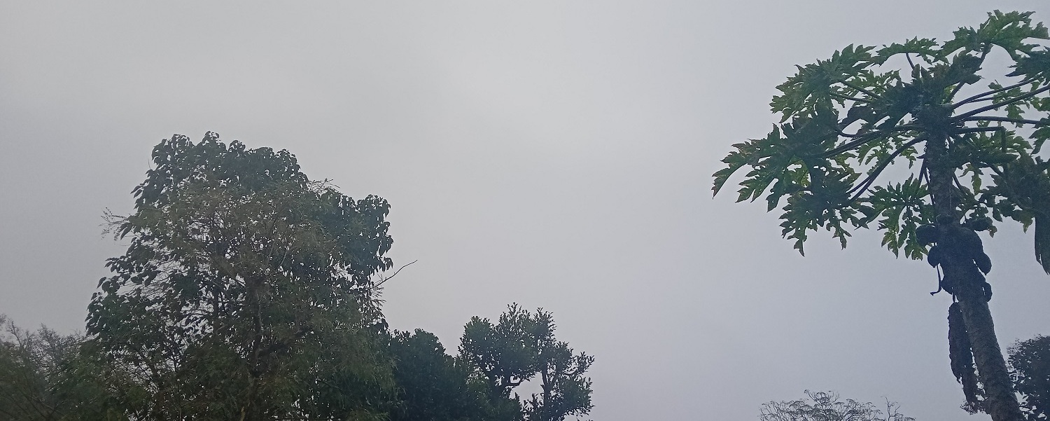 Incessant rains for four days have increased the problems of the farmers

 IG news