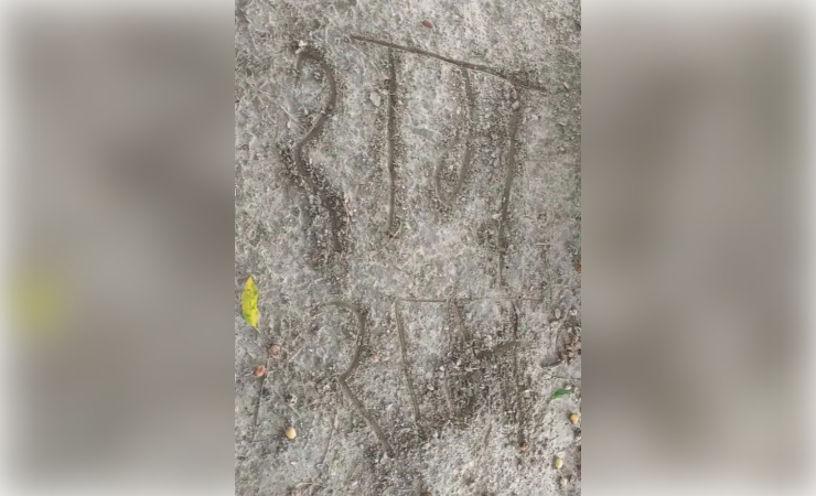 मिट्टी पर 'राम-राम' लिखने के बाद युवक ने बाग में फंदा लगाकर दी जान